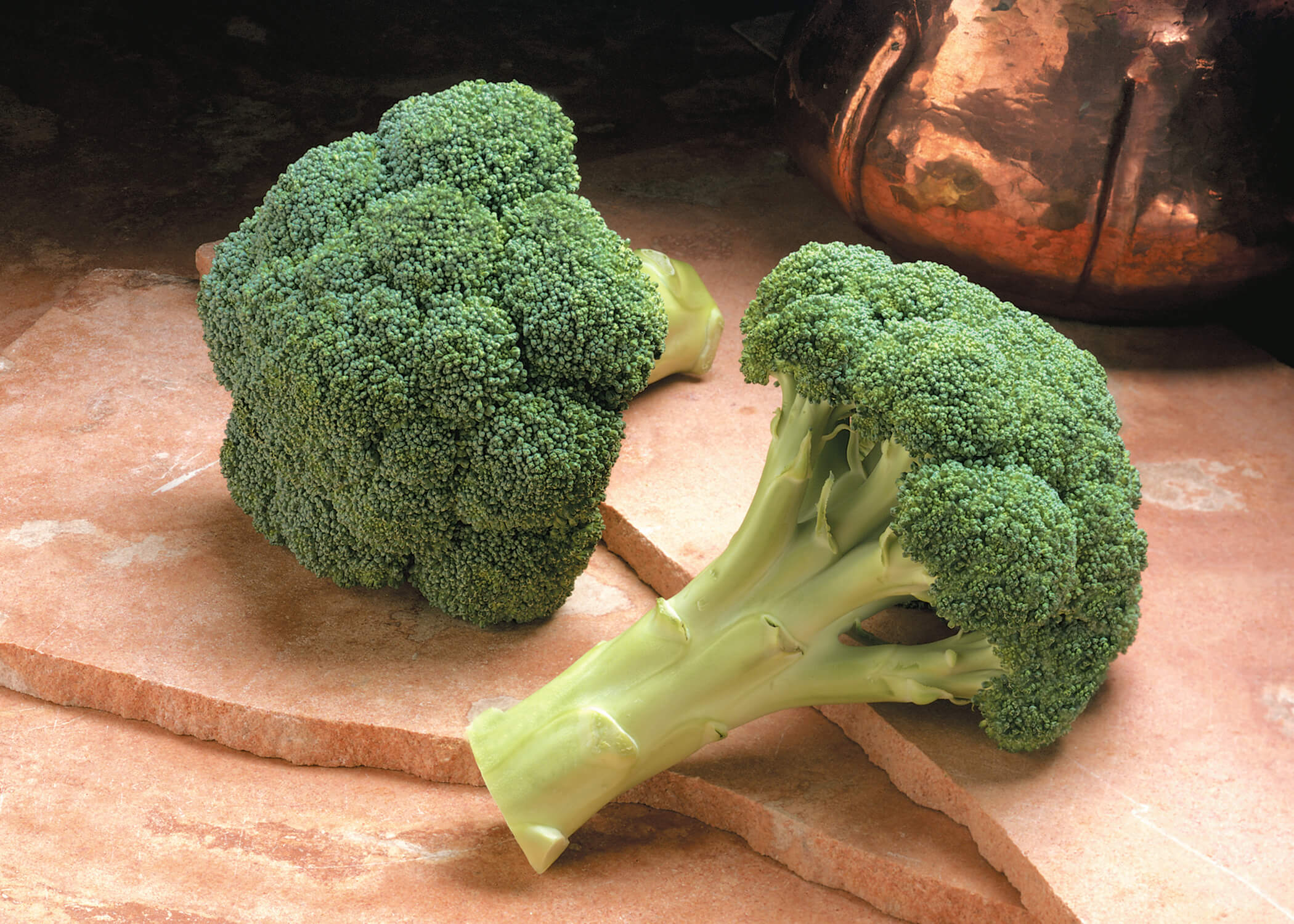 PICTURE PMD MONACO 2