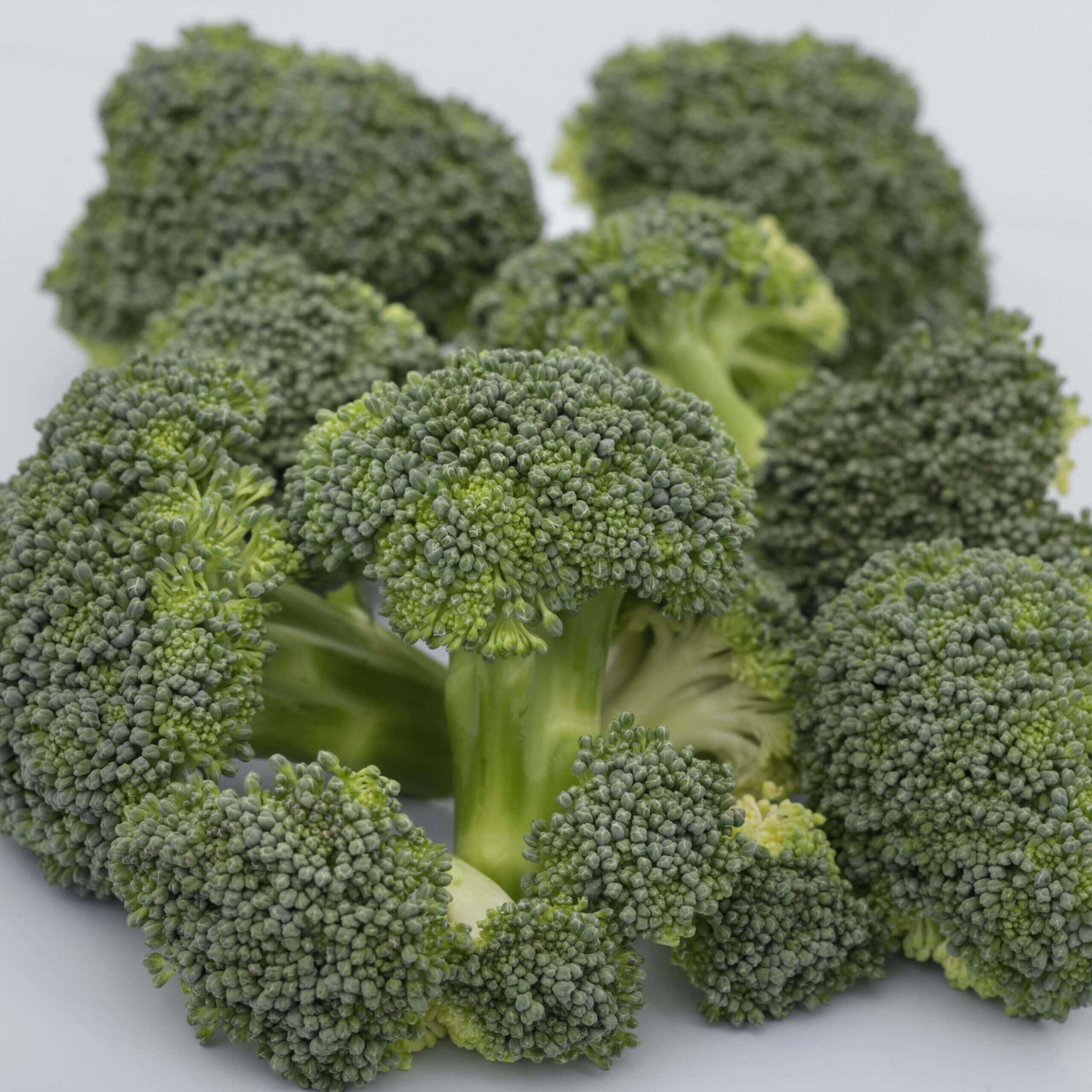 Print_Monclano SGD10-0791 NL 3556